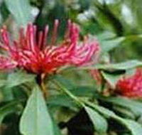 Alfred National Park - Accommodation Bookings