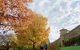 Beechworth Historic And Cultural Precinct - thumb 0