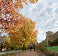 Beechworth Historic and Cultural Precinct - Accommodation Bookings