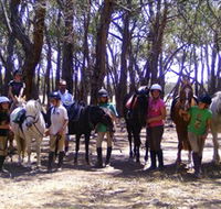 Bellarine Horse Riding Centre - Accommodation Bookings