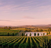 Oakridge Wines - Accommodation Bookings