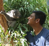 Healesville Sanctuary - Accommodation Bookings