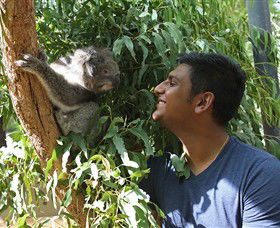 Healesville Sanctuary - Accommodation Bookings 0
