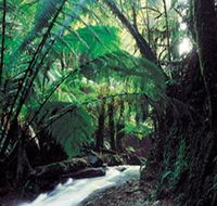 Melba Gully - Accommodation Bookings