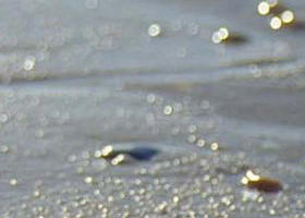 Cape Liptrap Coastal Park - Accommodation Bookings 0