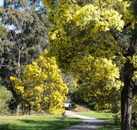 Wattle Park - Accommodation Bookings