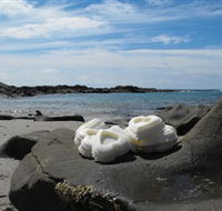 Calma Candles - Accommodation Bookings