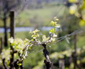 Eldridge Estate Of Red Hill - Accommodation Bookings 0