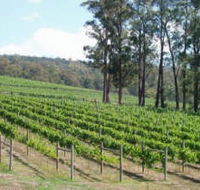Piedmont Vineyard - Accommodation Bookings