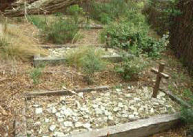 Collins Settlement Historic Site - Accommodation Bookings 0