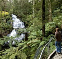 Great Otway National Park - Accommodation Bookings