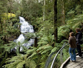Great Otway National Park - Accommodation Bookings 0