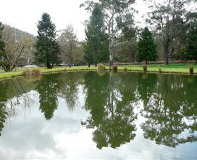Harrietville VIC Accommodation Bookings