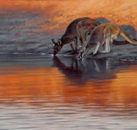 Steve Morvell Wildlife Art - Accommodation Bookings