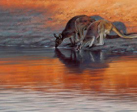 Steve Morvell Wildlife Art - Accommodation Bookings 0