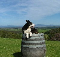 Windy Ridge Vineyard and Winery - Accommodation Bookings