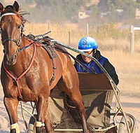 Ballarat  District Trotting Club - Accommodation Bookings