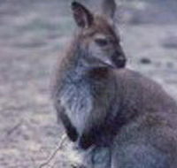 Churchill National Park - Accommodation Bookings