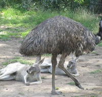 Bundoora Park - Accommodation Bookings