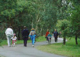 Birrarrung Park - Accommodation Bookings 0