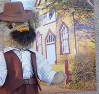 Stanley Bears - Accommodation Bookings
