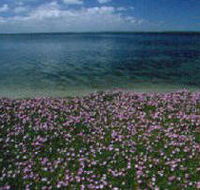 The Lakes National Park - Accommodation Bookings