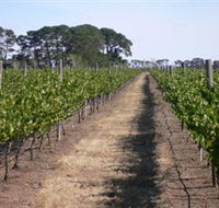 Mount Beckworth Wines - Accommodation Bookings