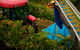 GREENSTONE VINEYARDS - thumb 3