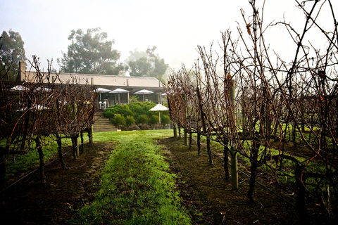 GREENSTONE VINEYARDS - Accommodation Bookings 4