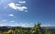 GREENSTONE VINEYARDS - thumb 5