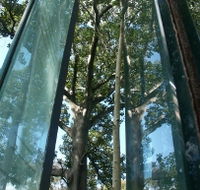 Sydney Sculpture Walk - Accommodation Bookings