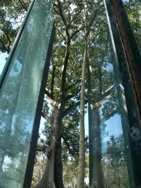 Sydney Sculpture Walk - Accommodation Bookings 0