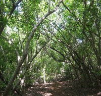 Eucalypt Trail - Accommodation Bookings