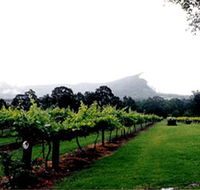 Cambewarra Estate Wines - Accommodation Bookings