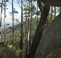 Gulaga National Park - Accommodation Bookings