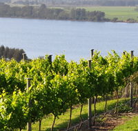 Two Figs Winery - Accommodation Bookings
