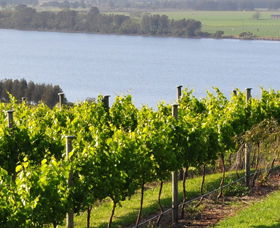 Two Figs Winery - Accommodation Bookings 0