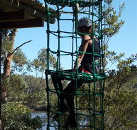 Trees Adventure Shoalhaven - Accommodation Bookings