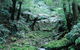 Deua National Park - thumb 0