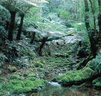 Deua National Park - Accommodation Bookings