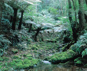Deua National Park - Accommodation Bookings 0