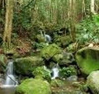 Budderoo National Park - Accommodation Bookings