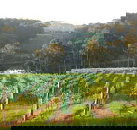 Tilba Valley Wines - Accommodation Bookings