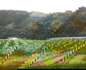 Tilba Valley Wines - Accommodation Bookings 0