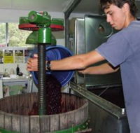 Fern Gully Winery - Accommodation Bookings