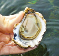 The Oyster Pot - Accommodation Bookings