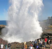 Kiama Blowhole - Accommodation Bookings