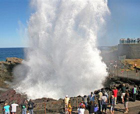 Kiama Blowhole - Accommodation Bookings 0