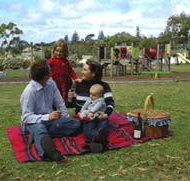 Blackbutt Forest Reserve - Accommodation Bookings