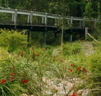 Eurobodalla Botanic Gardens - Accommodation Bookings